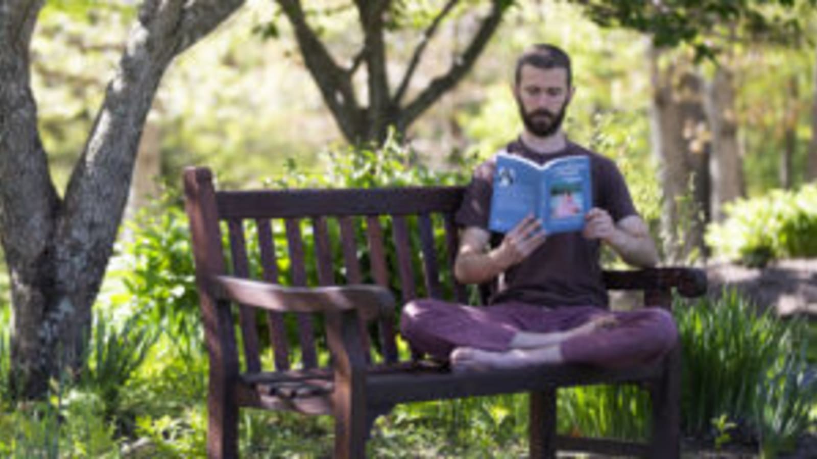 Patanjali Yoga Sutras Immersive Workshop at Yogaville
