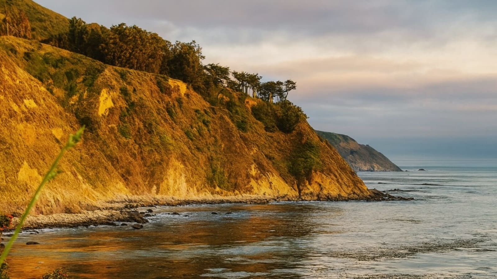 You Are Not Your Fault: Meeting ADHD with Mindfulness, Wisdom, and Compassion
