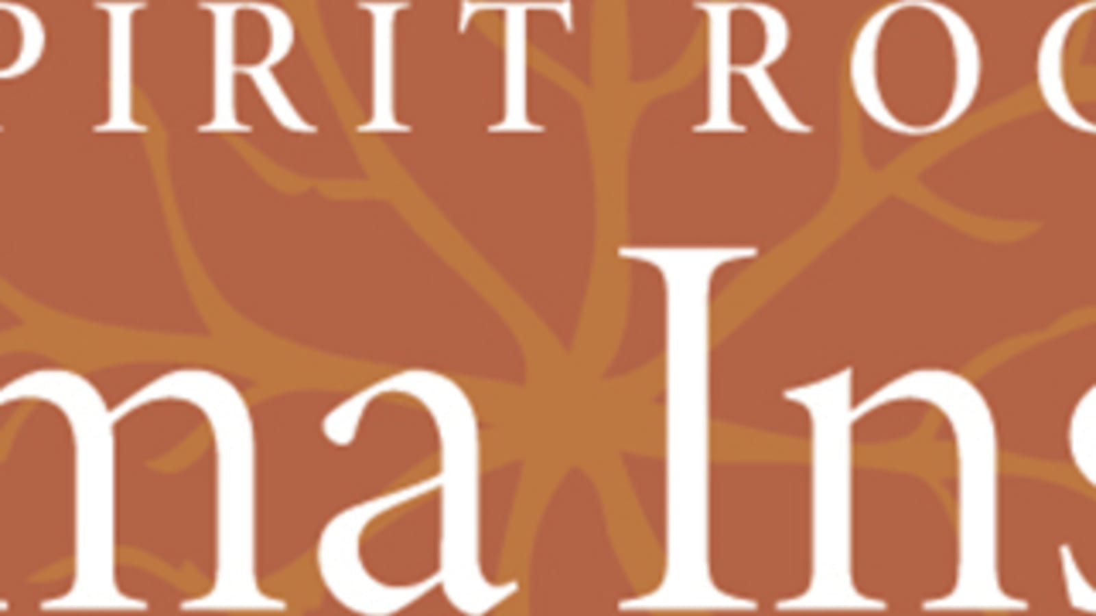 Living Dharma Program: Exploring & Integrating the Eightfold Path in Daily Life