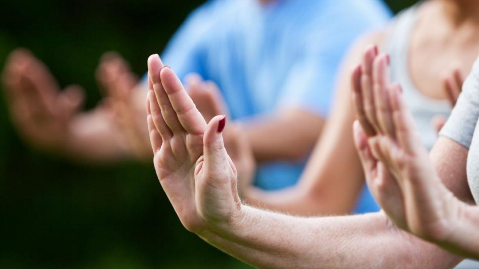Free Flow: A Qigong and Chinese Medicine Retreat