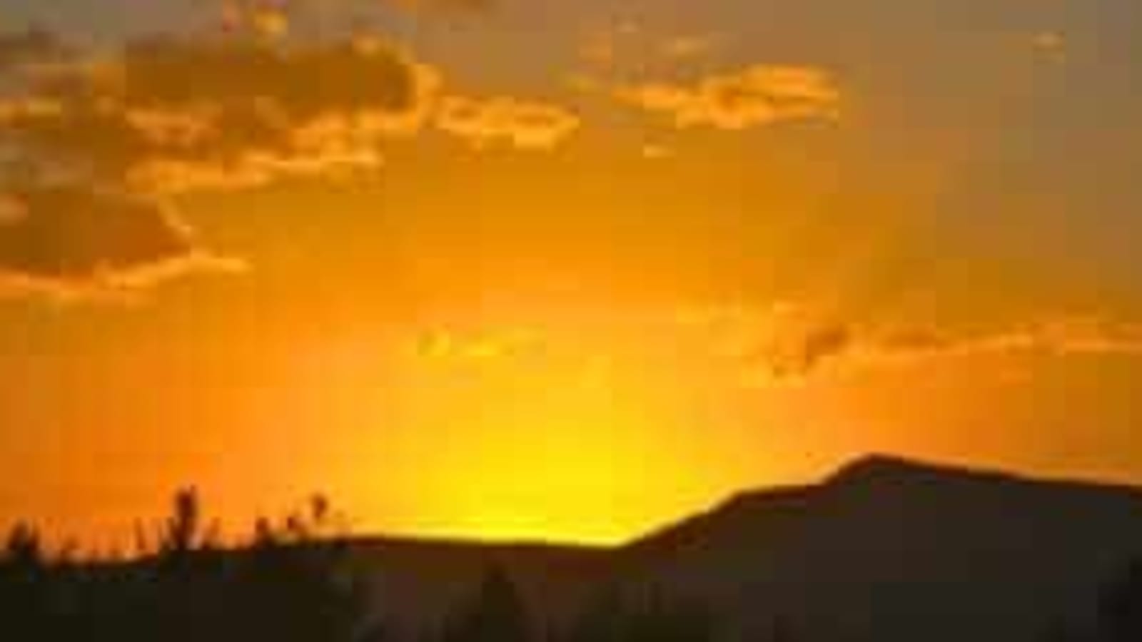 Labor Day Retreat with Lama Willa (Hybrid)