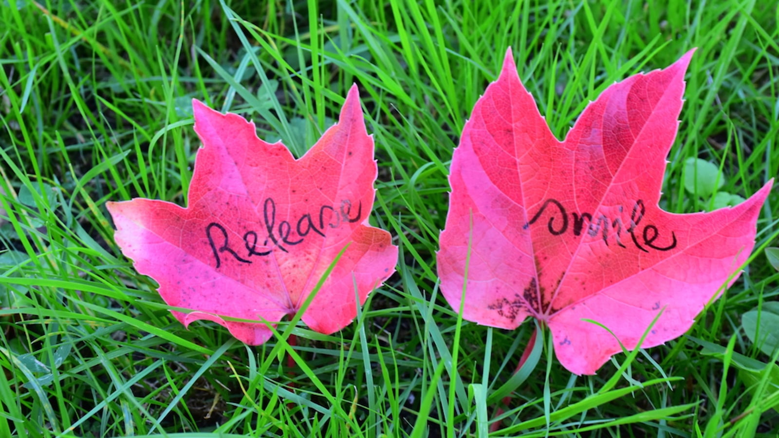 7-Day Retreat at Healing Spring