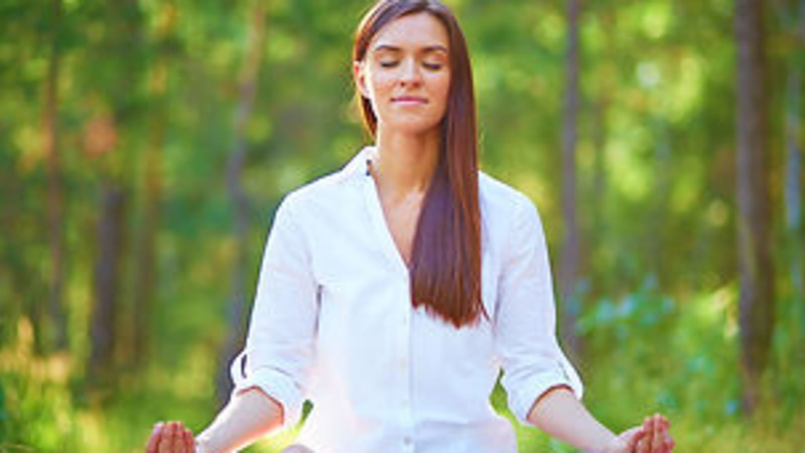 Grow a New Body Retreat with Dr. Alberto Villoldo at Los Lobos Sanctuary