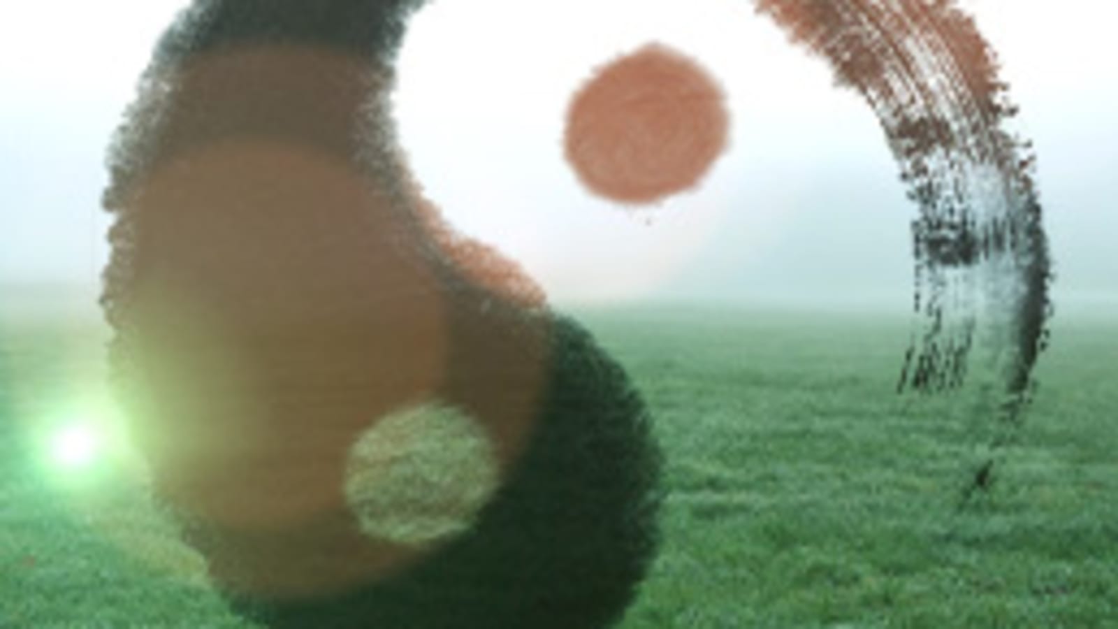 Yin & Yang Qigong with Robert Peng - Module 9: Central Meridian Empowerment
