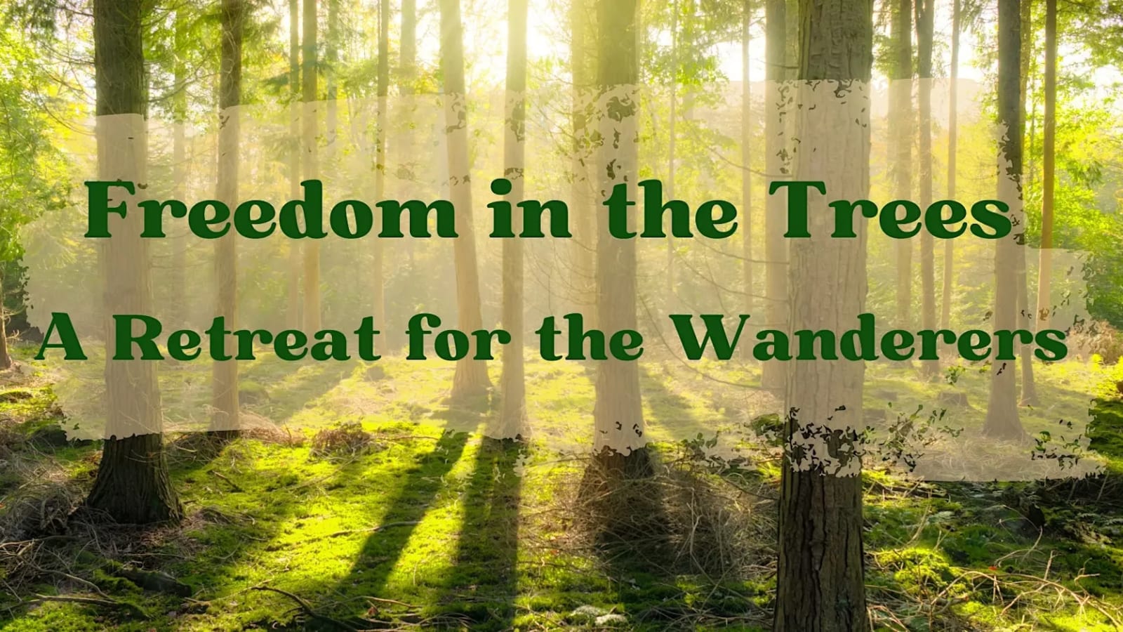 Freedom in the Trees: A Recovery Retreat