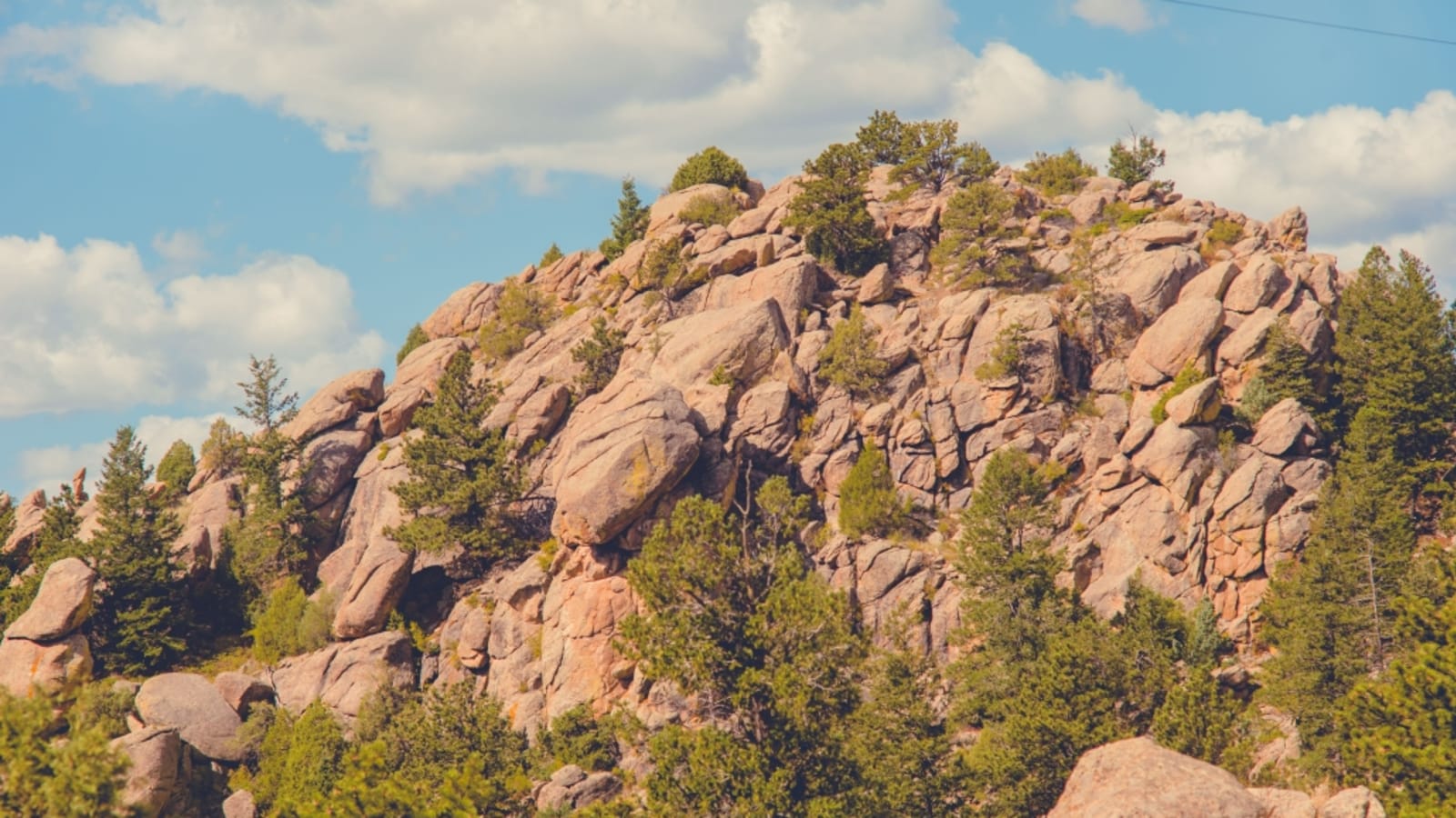 Thrive: A Brain Health Retreat for Aging Well