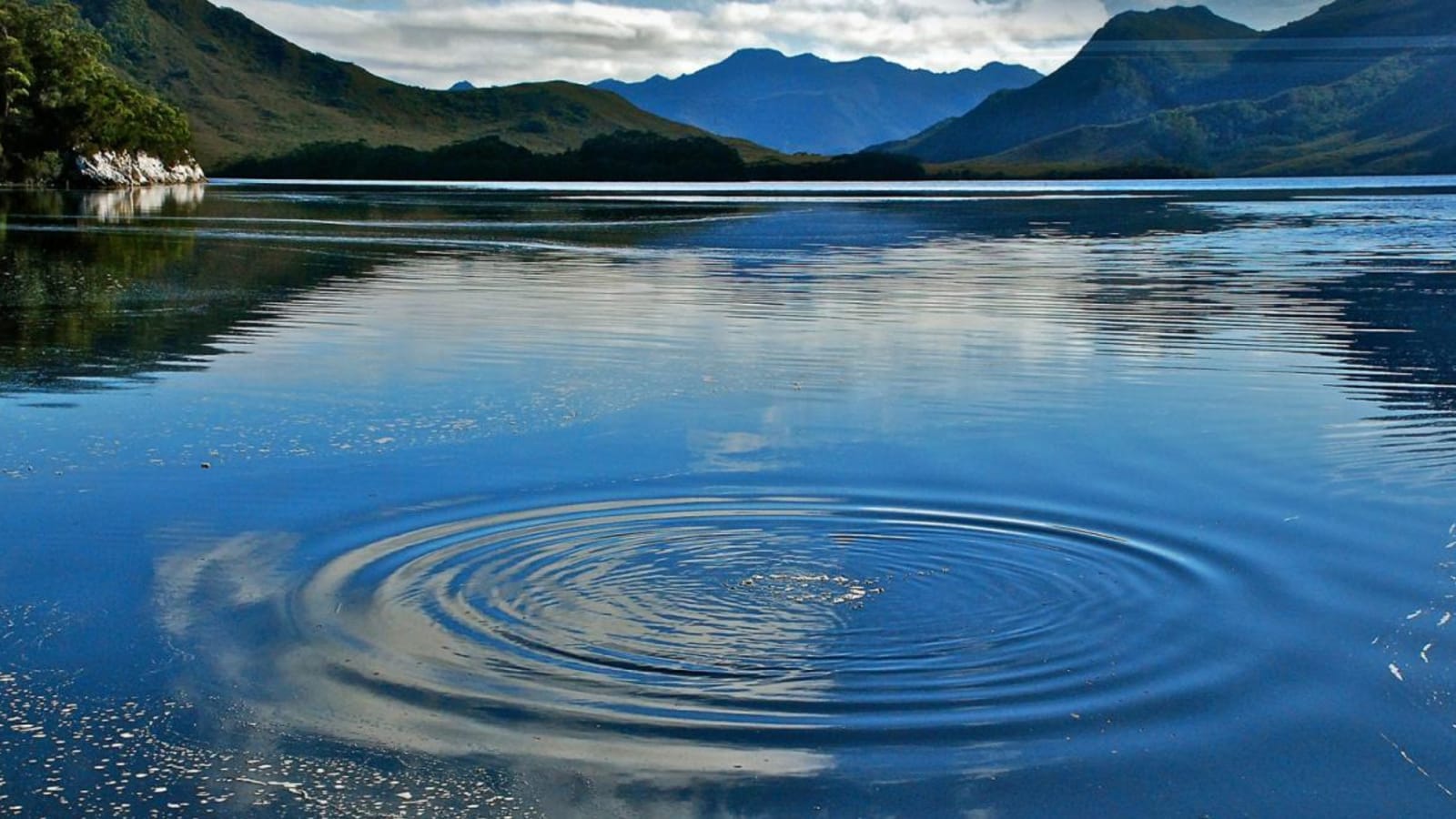 Mindfulness-Based Cognitive Therapy (MBCT) Teacher Foundations & Development