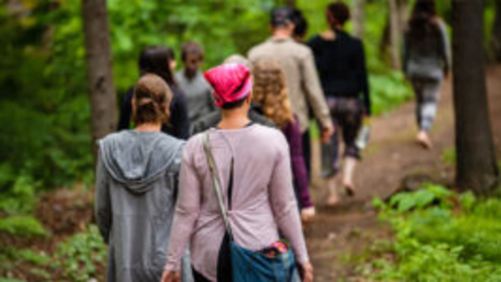 Where the Mind Grows Quiet: A Spring Contemplative Hiking Retreat at Yogaville