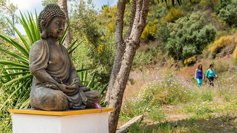 Cultivating Peace and Presence in the Sanctuary of Southern Spain with Hugh Byrne and Rebecca Hines