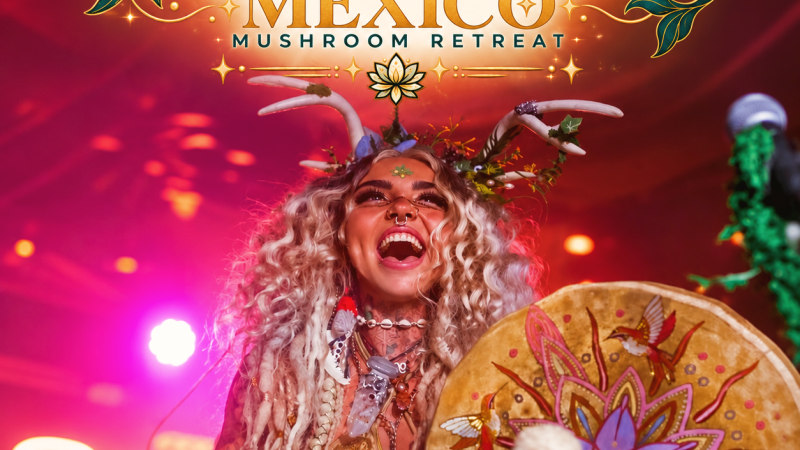 Mexico Mushroom Retreat