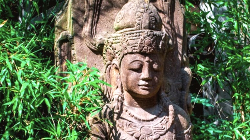 Nourishing Roots: Woodland Creation Retreat