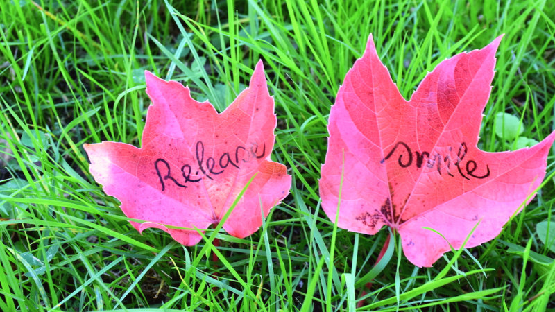 7-day Retreat at Healing Spring Monastery (Dec 11–17)