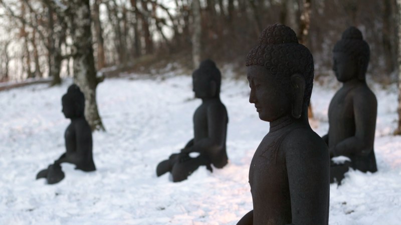 7-day Retreat at Healing Spring Monastery (Jan 15–21)