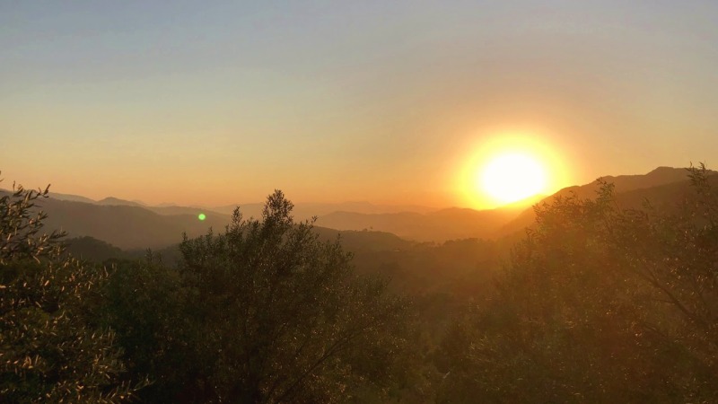 Morning Gratitude Meditation: Body-by-Body Practice for 30 Days