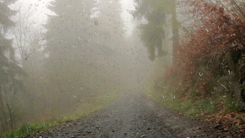Thunder and Rain Sounds for Sleep: Why Ten Hours Works