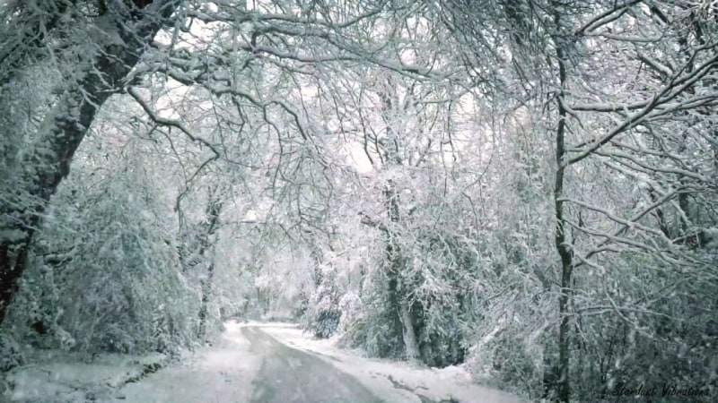 Blizzard Sounds for Sleep and Cooling: A 10-Hour Snowstorm Loop