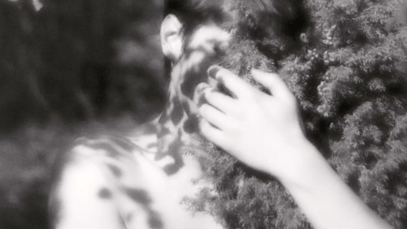 Intimacy as the Secondary Glow of One Sun, Explained