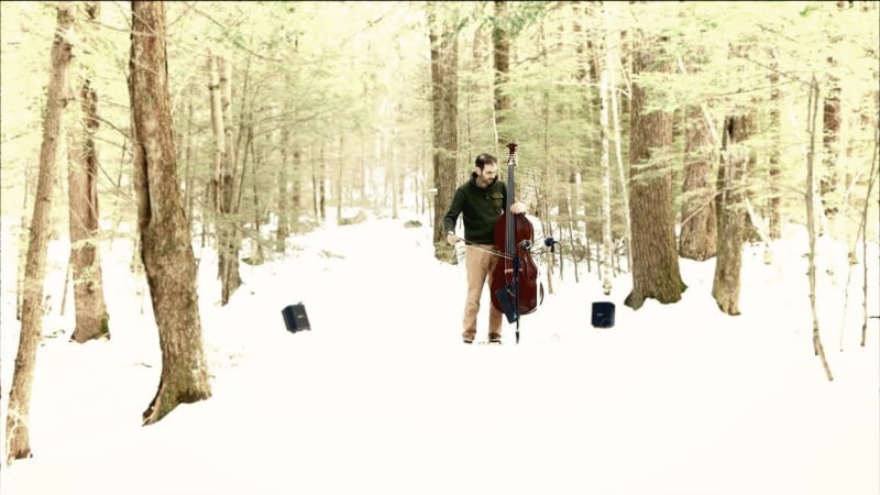 Music Meditation in the Woods: Bass Improvisation Outdoors