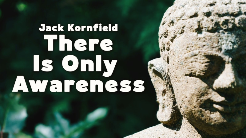 Buddhist Psychology: Awareness as the Foundation of Mind