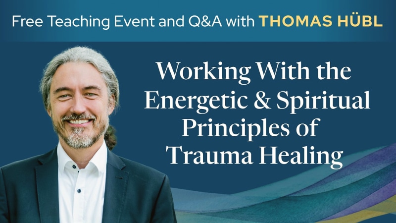 Ecosystemic Attunement in Trauma Healing: Core Principles