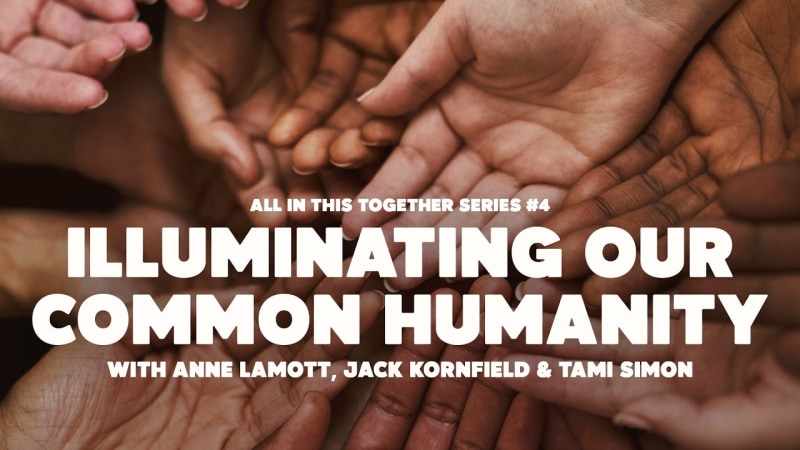 Stories That Open Hearts: Common Humanity and Tenderness