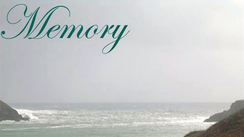 Worry Not: A Meditation on Letting Go