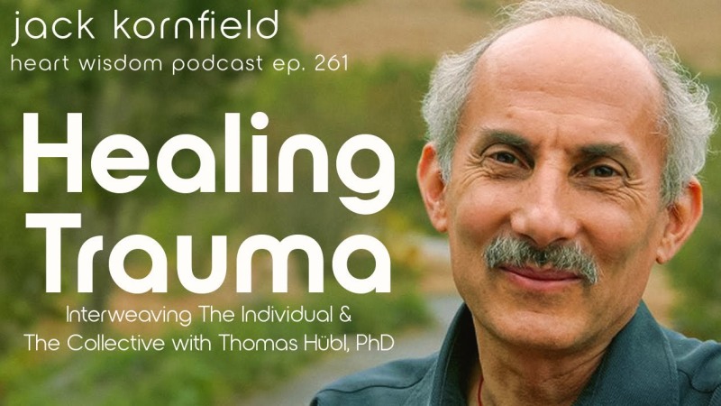 Healing Trauma: Individual & Collective Dimensions
