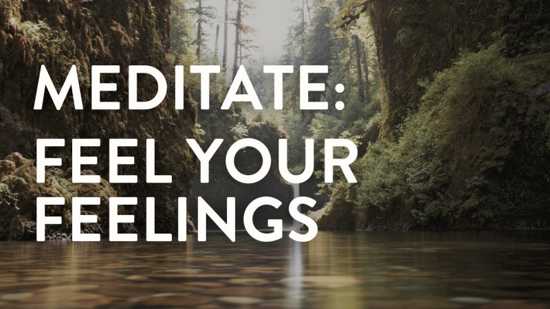 Feel Your Feelings: A 13-Minute Guided Meditation Explained