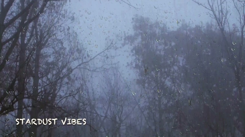 Rain and Thunder in the Foggy Forest: Inside a Sleep Soundscape