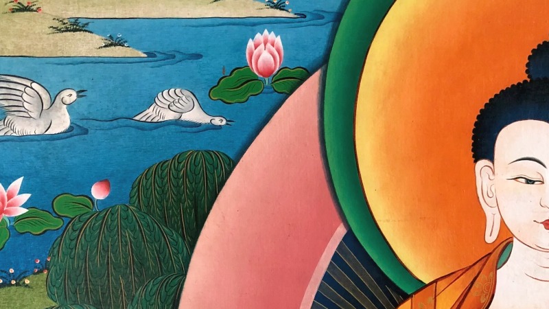 Walking the Bodhisattva Path of Compassion