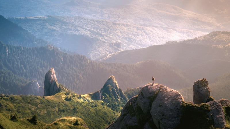 THE ART + SCIENCE OF MEDITATION with Richard Miller (Online)
