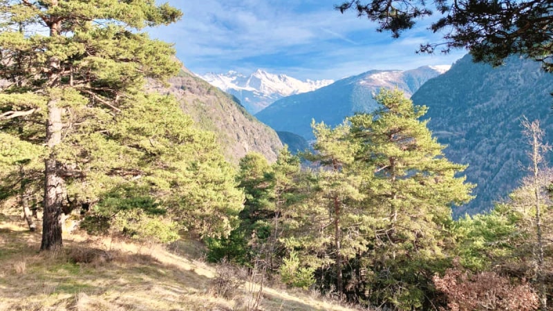 Silent Meditation Retreat 'Light' over Ascension