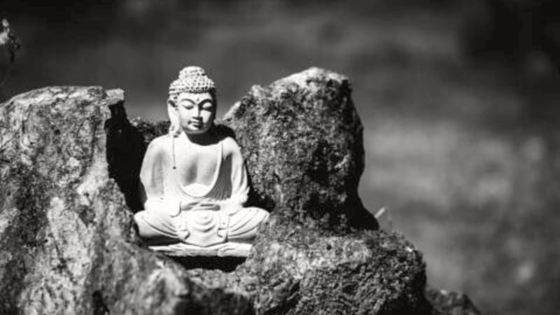 3-Month Rain Retreat at Healing Spring Monastery