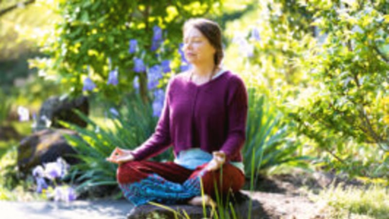 Spring Silent Retreat: Reconnect, Renew, Restore at Yogaville