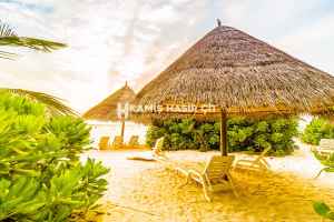 Kamış Çatı Kaplama