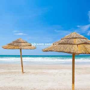 Bodrum Hasır Şemsiye