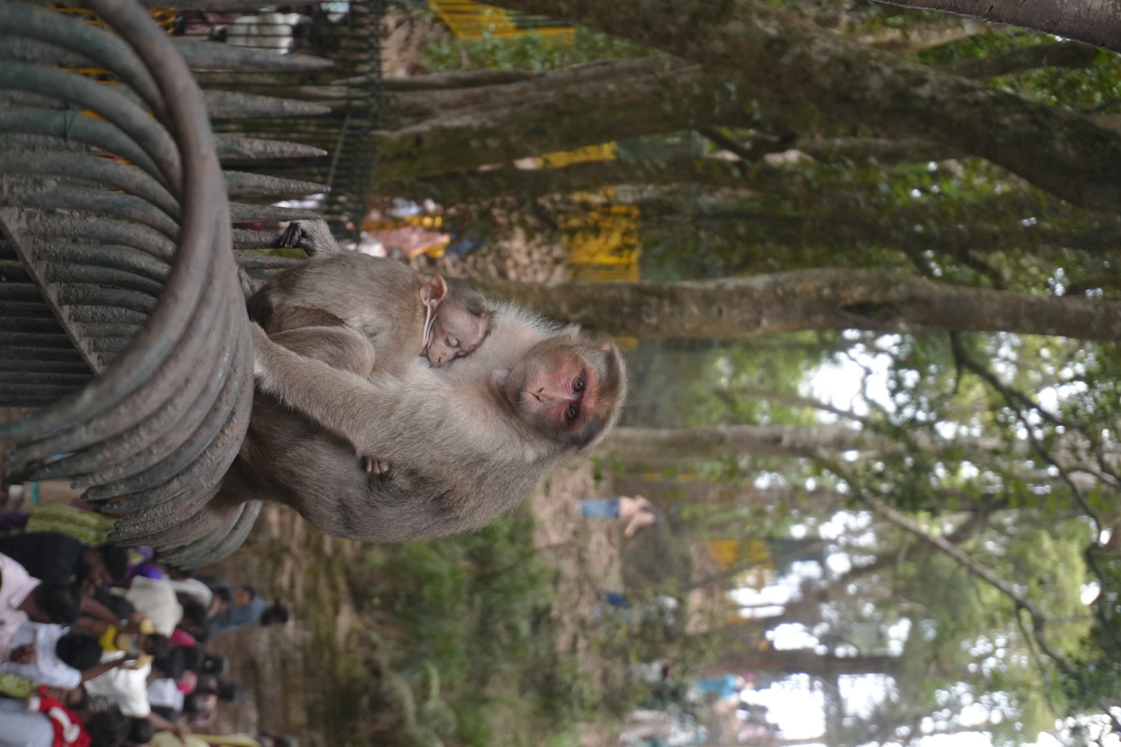 We made them homeless