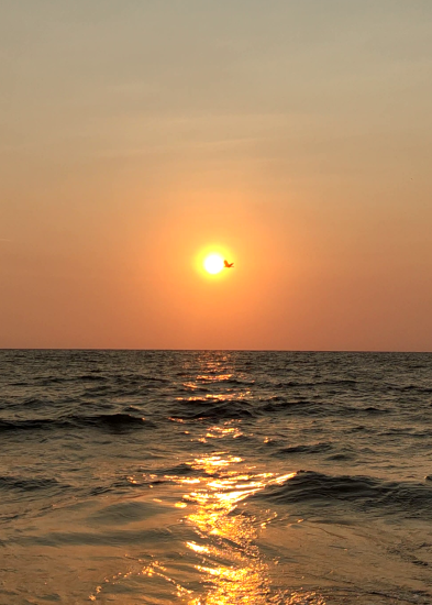 a sunset in cherai
