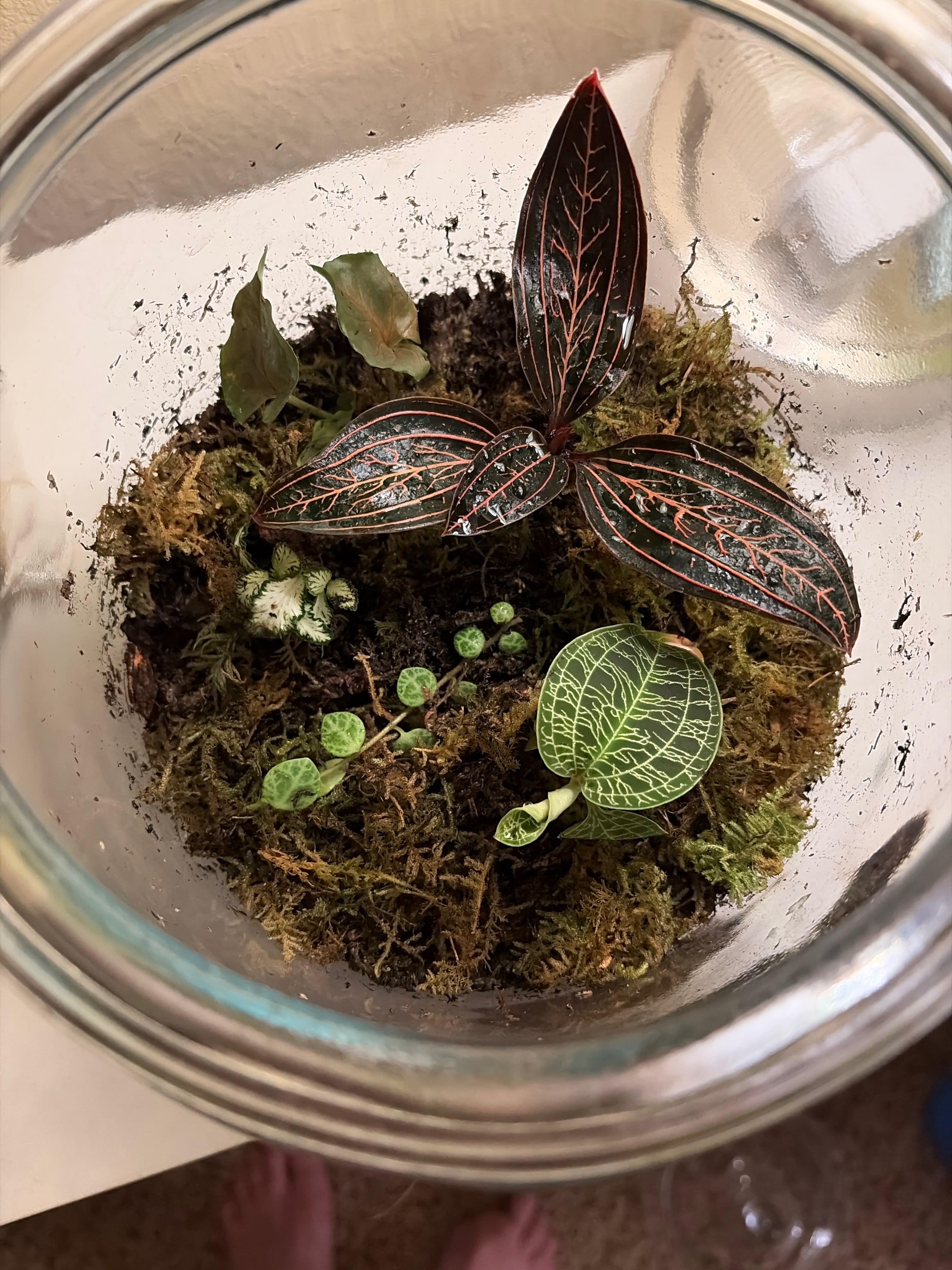 IMG_8A905BCB-9C6B-46C5-A1C5-6CE2D1E45811_m7r9ch