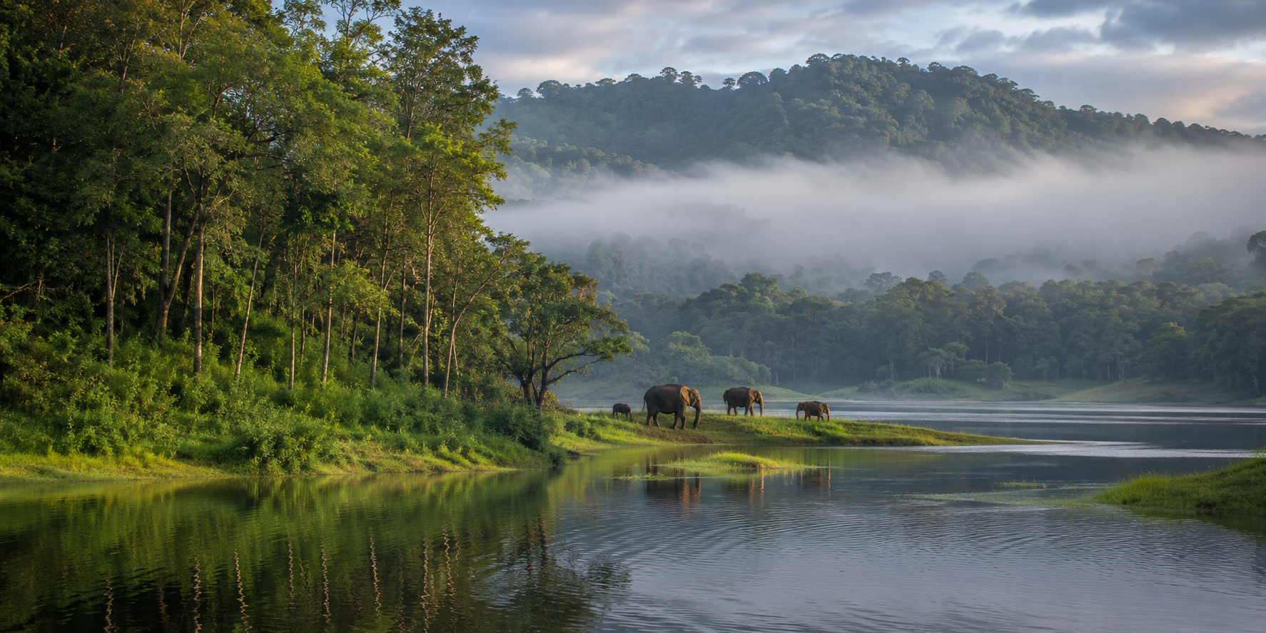 Thekkady.png