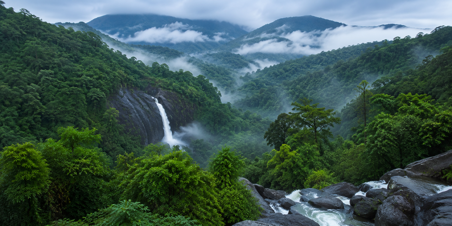 Wayanad.png