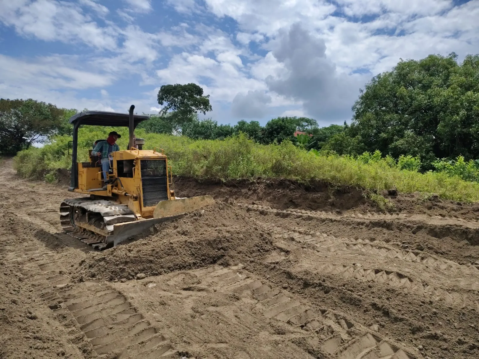Bulldozer en acción