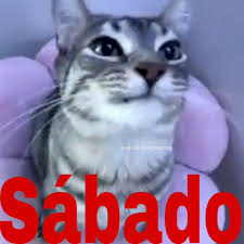 Webito