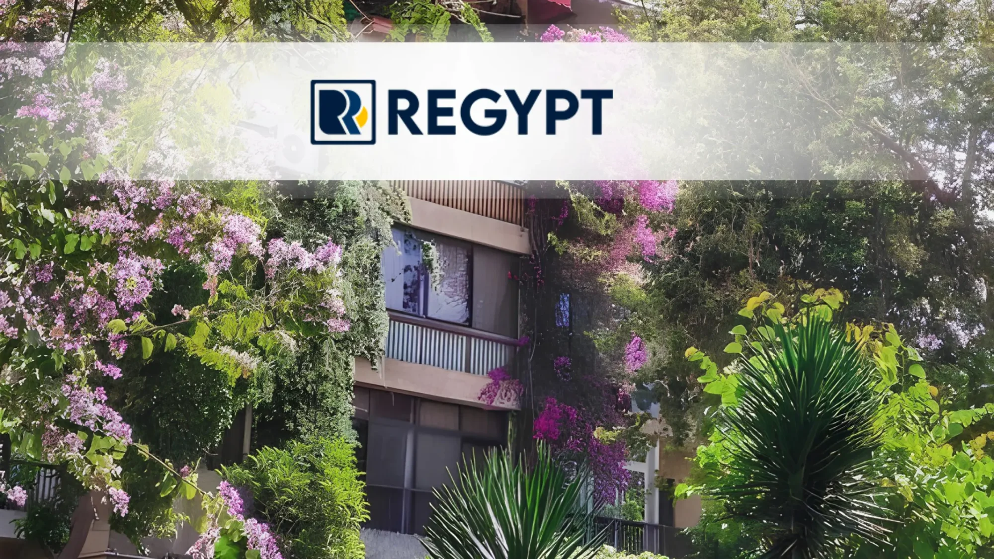 Apartment for Rent in Maadi: Your Complete Guide to Prices, Areas, and Renting in Maadi