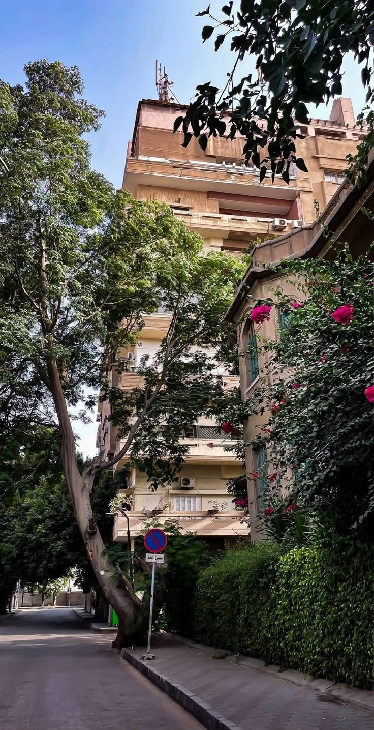Cream apartment block seen from a quiet street, framed by a leaning tree and flowering bougainvillea