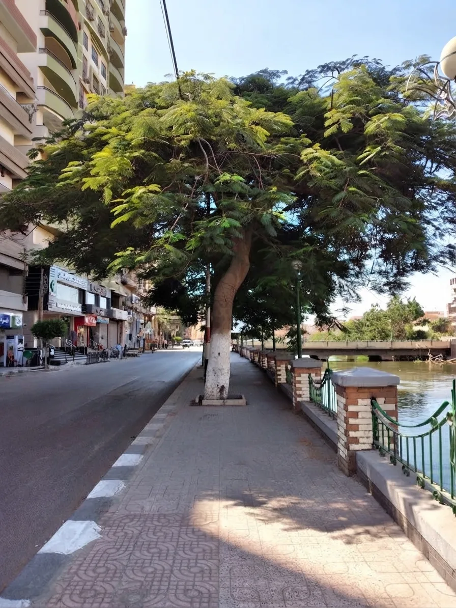 Best Areas to Live in Zamalek