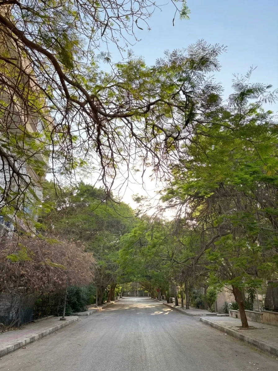أفضل مناطق زهراء المعادي