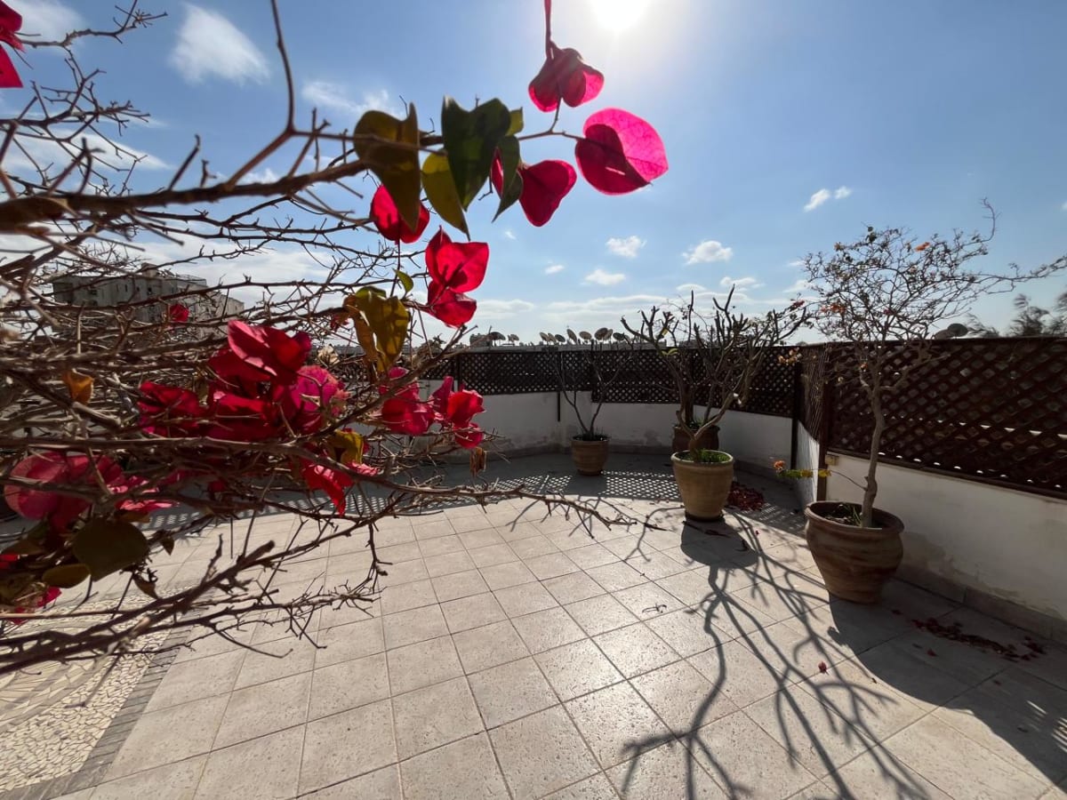 Semi-furnished apartment for rent in Maadi, Cairo.