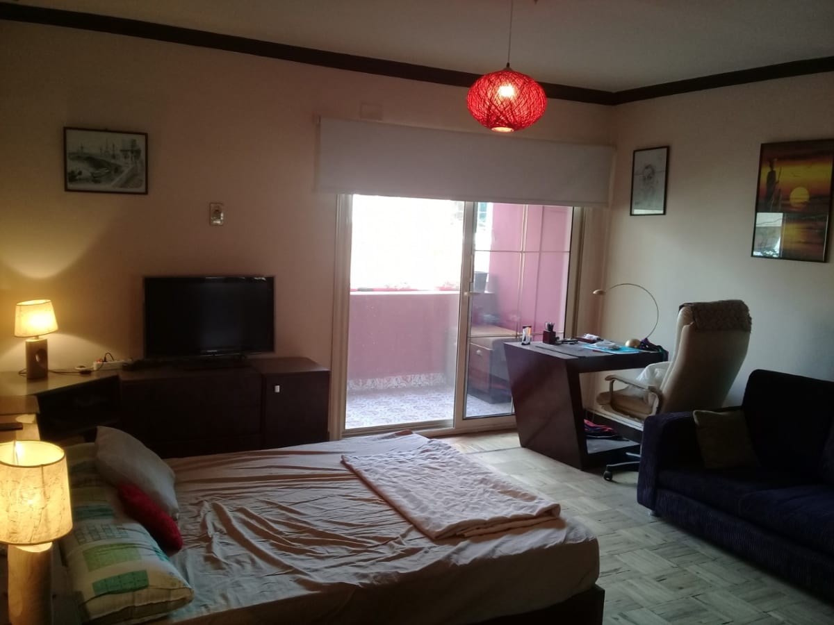 Apartment With Green Views For Rent In Zamalek.