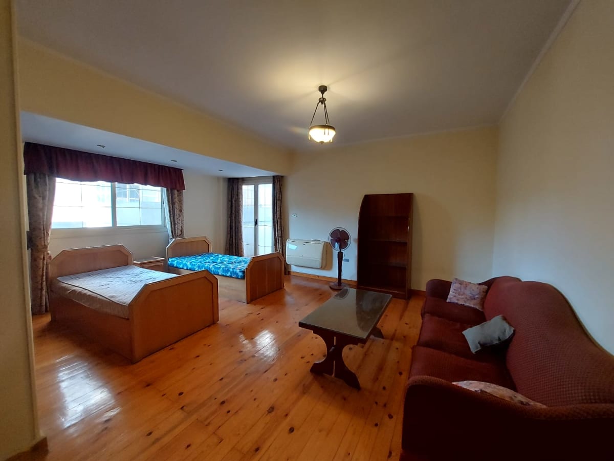 Well-Located Spacious Apartment In Zamalek